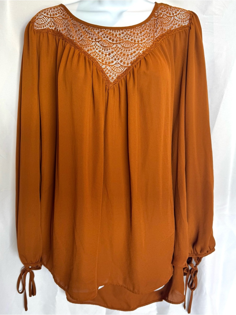 H&M Women’s Lace Yoke Semi-Sheer Long Sleeve Rust Plus Size Peasant Blouse Sz 22